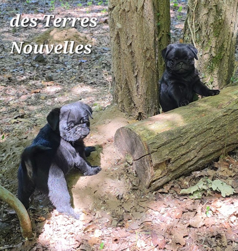 les bébés grandissent