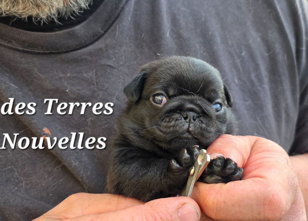 les bébés grandissent